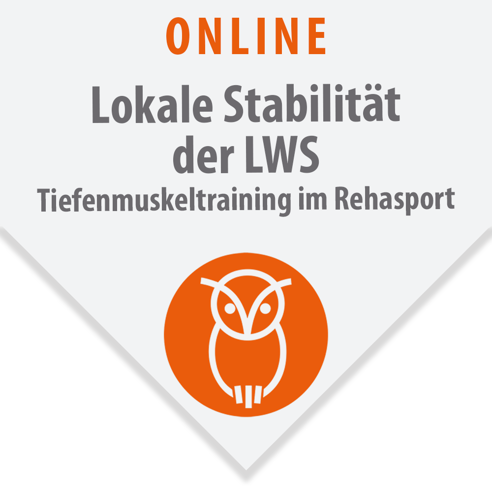 Lokale Stabilität der LWS - Tiefenmuskeltraining im Rehasport