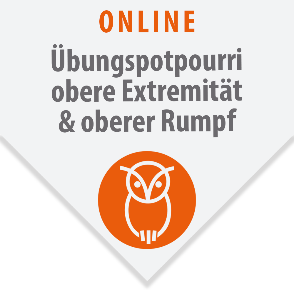Übungspotpourri - Schwerpunkt obere Extremität - oberer Rumpf