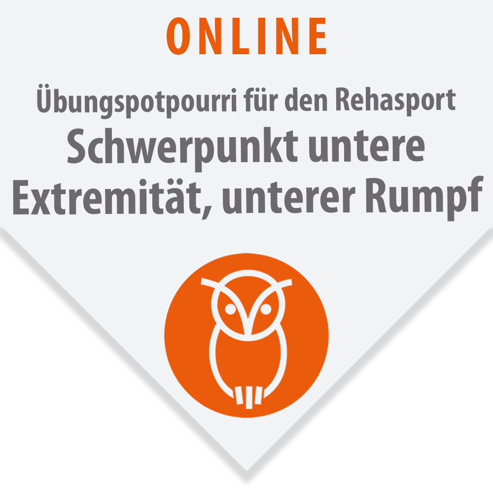 Übungspotpourri für den Rehasport | Schwerpunkt untere Extremität, unterer Rumpf