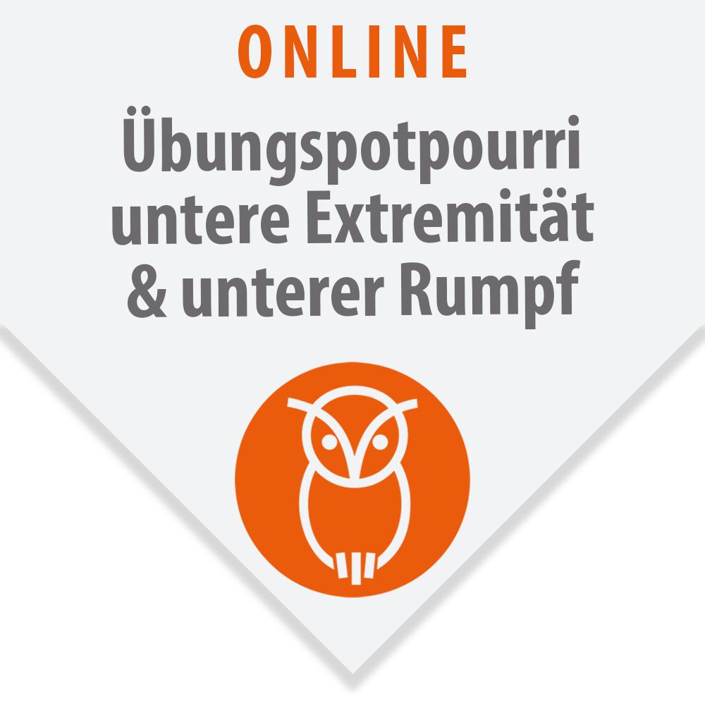 Übungspotpourri - Schwerpunkt untere Extremität, unterer Rumpf