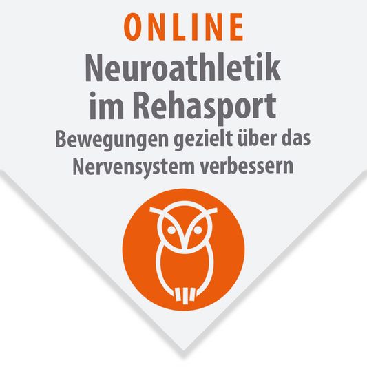 Neuroathletik im Rehasport: Bewegungen gezielt über das Nervensystem verbessern